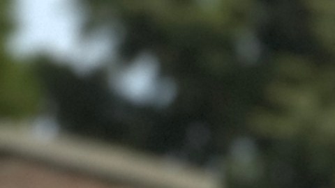 Las celebraciones a la Virgen de Guadalupe del santuario de Des Plaines, Illinois, se mudarán a plataformas virtuales. (Cortesía Santuario de Nuestra Señora de Guadalupe)