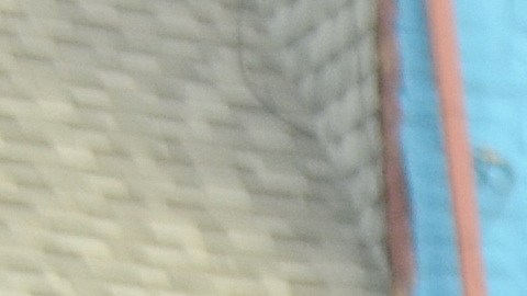 Óscar Pérez sostiene a su familia con la venta ambulante en Chicago. (Belhú Sanabria / La Raza)