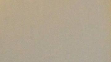 El Sabor Poblano celebró la reapertura de los restaurantes en Chicago. (Belhú Sanabria / La Raza)