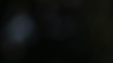 La presidencia de Donald Trump termina el 20 de enero de 2021, cuando Joe Biden asume el poder.