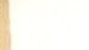 La madre Citahaly Zamiodo, de 25 años, y sus hijas Renata, Genesis, Allison y Grace Espinosa murieron en el incendio.