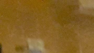 El tiroteo ocurrió en la cuadra 12400 S. Halsted St. alrededor de las 12:30 am en el área de West Pullman.