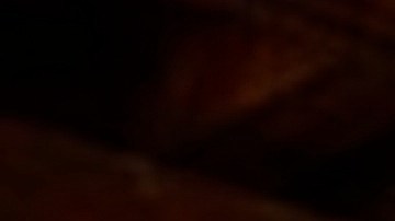 Funcionarios de la Ciudad cierran Firewater Saloon en el 3908 al oeste de la calle 111th, en el vecindario de Mount Greenwood.