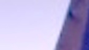 La Planta de trituración y reciclaje de metales General Iron cerró operaciones en Lincoln Park a finales de 2020. Foto Google Maps General Iron