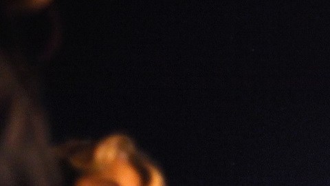 Se desconoce si el vuelo fue suspendido en forma permanente.