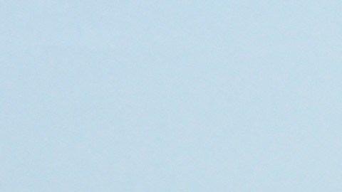 Las embarcaciones iban rumbo a Florida desde Bimini, las Bahamas.