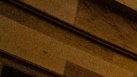 Gerentes de acusación de la Cámara de Representantes.