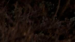 Escombros caídos del motor del avión de United Airlines en un vecindario de Broomfield, en las afueras de Denver.