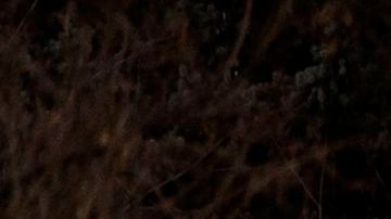 Escombros caídos del motor del avión de United Airlines en un vecindario de Broomfield, en las afueras de Denver.