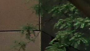 Un incendio en una vivienda en el barrio de West Englewood dejó dos personas heridas