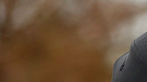 Eldrick Tont "Tiger" Woods, golfista estadounidense.