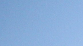 EE.UU. sobrepasa el medio millón de  muertes a causa del coronavirus