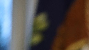 Joe Biden, presidente de los Estados Unidos.