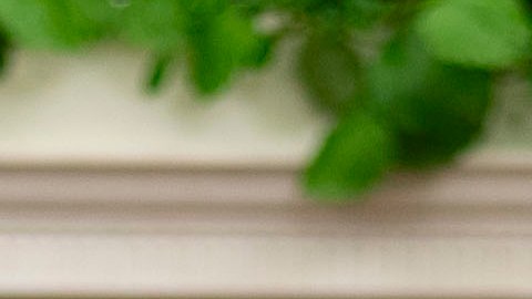 Joe Biden, presidente de los EE.UU.