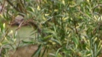 Las autoridades dijeron que los solicitantes de asilo no tenían dinero ni comida.