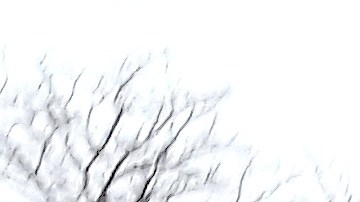 Hombre, 70, encontrado muerto después de incendio en casa en Roseland.