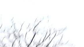 Los bomberos respondieron a la llamada de un edificio derrumbado en la cuadra 2700 sur de la calle Wells en el barrio de Bridgeport.