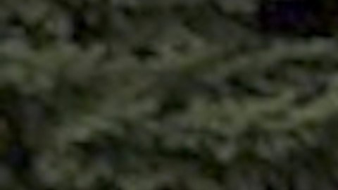 La policía de Joliet dijo que la maestra de los niños se comunicó con el Departamento de Servicios para Niños y Familias de Illinois (DCFS).