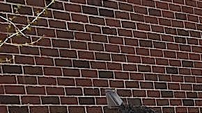 Jornaleros de Chicago afuera de un Home Depot esperan ser contratados para una obra de construcción. (Cortesía Unión Latina de Chicago)