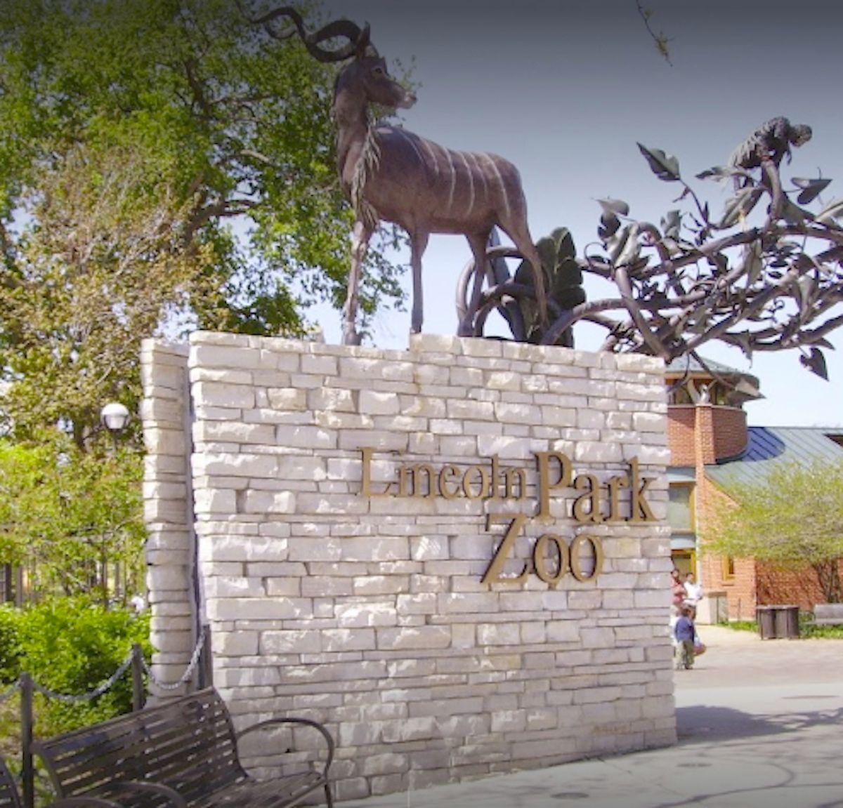 Los principales zoológicos de Chicago han anunciado sus planes de reapertura para principios de marzo.  