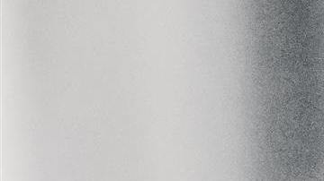 "Nos habría matado a todos", dijo el niño de 12 años.