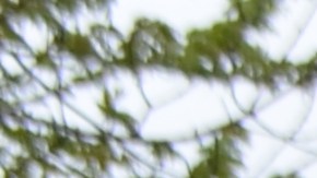 Comunidad inmigrante indocumentada durante una manifestación en el centro de Chicago en apoyo a una reforma migratoria. (Belhú Sanabria / La Raza)