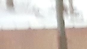 sal para derretir nieve en Chicago