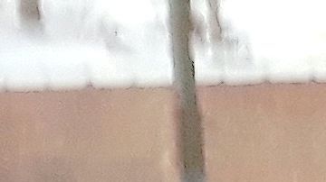 sal para derretir nieve en Chicago