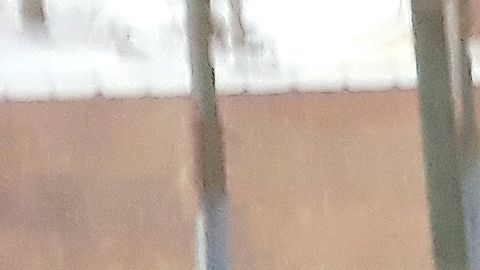 sal para derretir nieve en Chicago