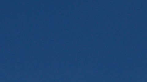 Old Navy celebra el Día Internacional de la Mujer en la Estatua de la Libertad el 9 de marzo de 2019 en la ciudad de Nueva York.