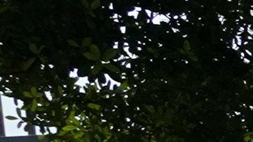 Entrada de los Centros para el Control y la Prevención de Enfermedades en Atlanta, Georgia.