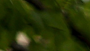 Edificio de la sede del Servicio de Impuestos Internos en la sección del Triángulo Federal de Washington, DC.