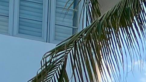 Clientes se paran frente a un bar abarrotado mientras esperan ingresar en medio de la pandemia de Coronavirus.