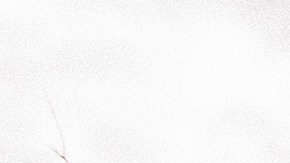 Tornado el 26 de enero de 2021 en Fultondale, Alabama