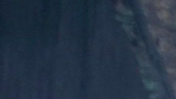 Evergreen Court Home for Adults, en Spring Valley, Nueva York