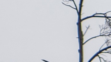 Memoriales y flores en la cerca de la tienda de comestibles King Sooper el 22 de marzo de 2021 en Boulder, Colorado, luego del tiroteo