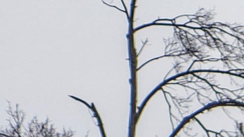 Memoriales y flores en la cerca de la tienda de comestibles King Sooper el 22 de marzo de 2021 en Boulder, Colorado, luego del tiroteo