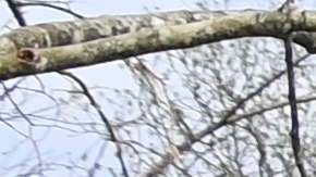 La casa parroquial detrás de la Iglesia Metodista Unida Ragan Chapel fue destruida por múltiples tornados junto con la iglesia el 26 de marzo de 2021 en Ohatchee, Alabama.