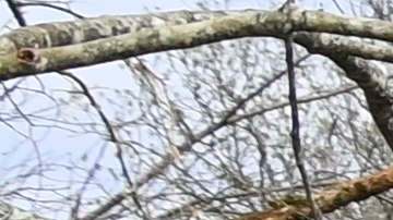 La casa parroquial detrás de la Iglesia Metodista Unida Ragan Chapel fue destruida por múltiples tornados junto con la iglesia el 26 de marzo de 2021 en Ohatchee, Alabama.