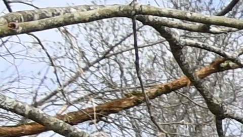 La casa parroquial detrás de la Iglesia Metodista Unida Ragan Chapel fue destruida por múltiples tornados junto con la iglesia el 26 de marzo de 2021 en Ohatchee, Alabama.
