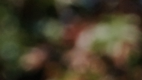 La senadora demócrata estadounidense, Kirsten Gillibrand