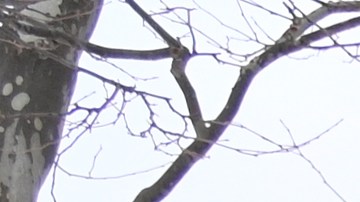 James J. Braddock Park en North Bergen, Nueva Jersey.