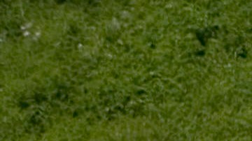 Los vehículos estatales están varados en un estacionamiento después de fuertes lluvias el 4 de mayo de 2010 en Nashville, Tennessee.