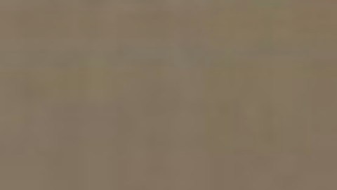 Las autoridades indicaron que hubo un altercado verbal entre el delincuente y la víctima antes de que el sujeto disparara en el vehículo.