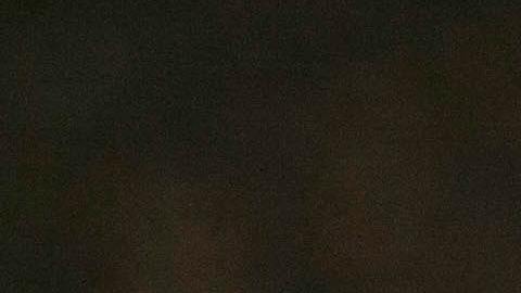 Se encontró sangre en el sótano de la casa