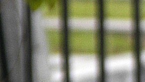 El sospechoso está bajo fianza por cargos de posesión de armas