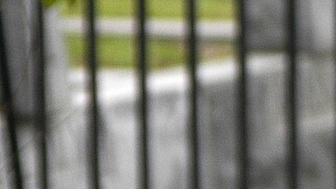 El sospechoso está bajo fianza por cargos de posesión de armas