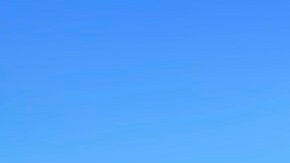 El incidente ocurrió el 20 de enero, en la cuadra 100 de la calle Walnut alrededor de las 3:15 pm.