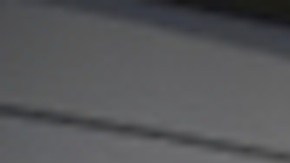 La Convención Nacional Demócrata se realizará en Chicago del lunes 19 al jueves 22 de agosto de 2024.