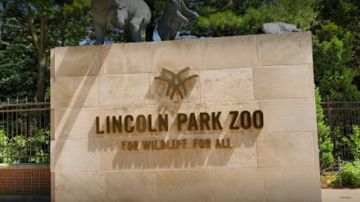 Residentes de Chicago ya pueden disfrutar de manera limitada de las atracciones de un zoológico local.